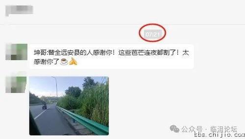 远安最新爆料事件视频,视频揭露惊人真相，事件背后有何隐情？  第1张