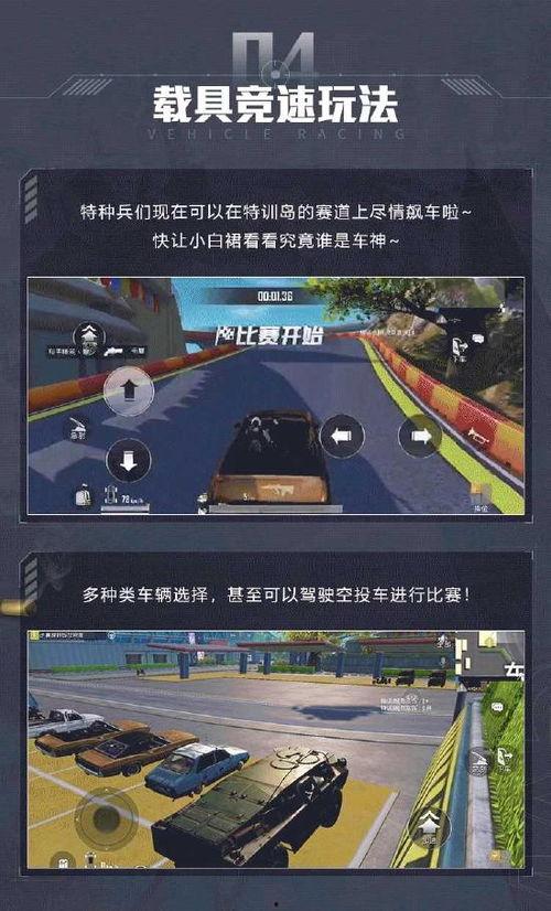 精英二代最新爆料